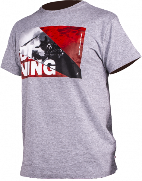 Santi T-Shirt "Flag"